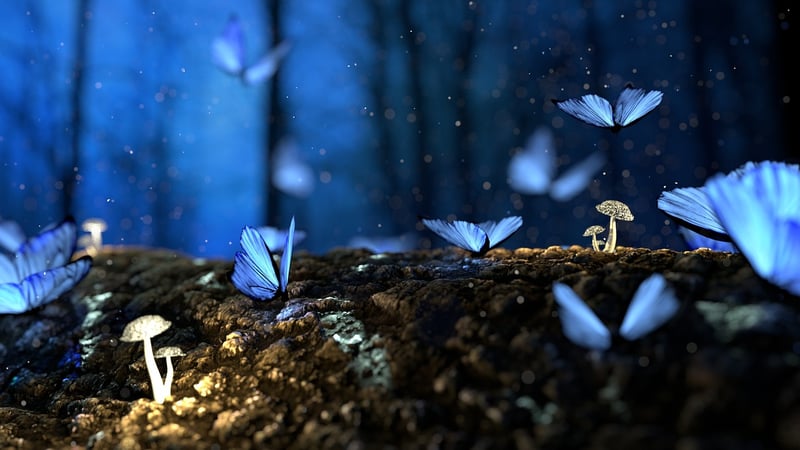 Enchanted Keepsakes