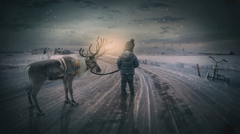 Whimsical Forest