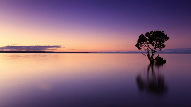 Sunset Photography